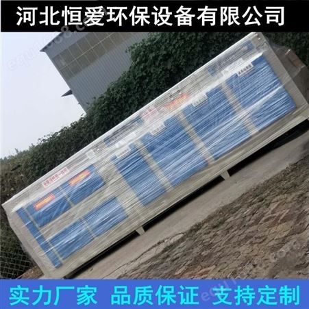款 10000风量活性炭环保箱 上海注塑厂烟气废气处理设备 活性炭工业吸附箱 恒爱环保