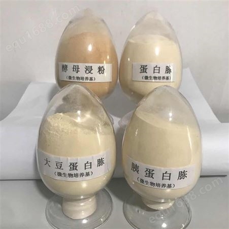 酵母蛋白胨 应用于发酵工业领域 鑫卓源 蛋白胨的用途 厂家热卖