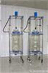 YS100L双层玻璃反应釜/玻璃反应器