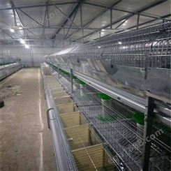 自动兔笼 兔笼子母笼两层15只笼位 鸡笼兔笼密孔厂家图片