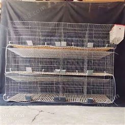 养殖笼具 镀锌兔子笼规格可定 商品兔笼厂家供应