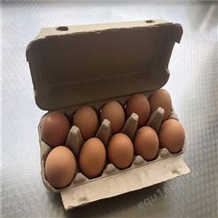 10枚鸡蛋保护托-卓尔纸塑-出售-热压纸托