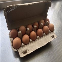 12枚鸡蛋保护托-卓尔纸塑-热压纸托-出售