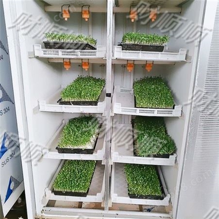 工厂供应 花生芽机芽苗机 大容量智能  家用小型芽苗机菜浸种器