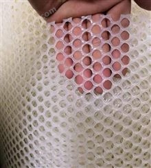 小孔育雏塑料网 塑胶网养蜂养蚕养殖网  水产养殖网厂家现货