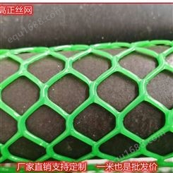 塑料平网 聚乙烯塑料网 养殖网垫 禽类脚踏网 鸡鸭苗床网高正丝网