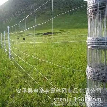 铁丝草原防护网 铁丝养鸡养牛防护网 铁丝波浪刺绳网