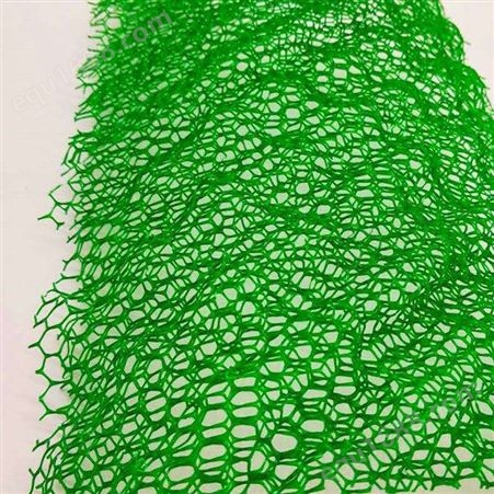 覆绿三维植被网 汉龙达 复合三维网厂家
