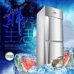 艾豪思冷藏冰柜商用大容量不锈钢两门食堂饭店单温冷藏柜保鲜柜