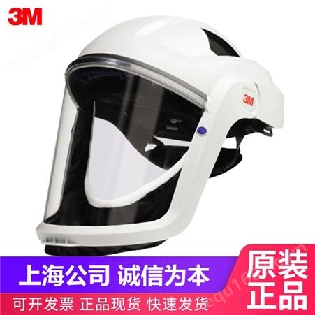 3M 106/M-107带通气孔硬头盔密封衬罩面罩TR-300送风滤尘