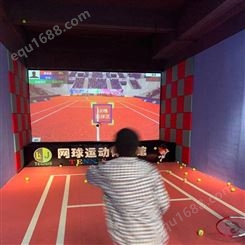 天津滨海新今日室内运动馆网球行情