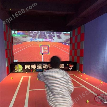 河北邯郸大名附近哪里有室内运动馆网球行情