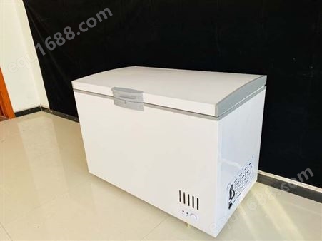 双温冰柜青岛新贝尔 家用小型冷冻保鲜两用 节能商用大容量冷柜